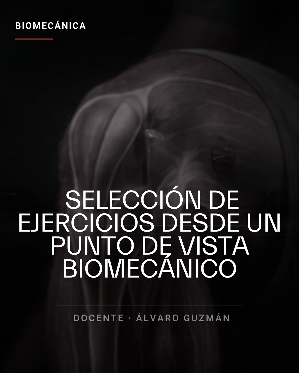 Selección de ejercicios desde un punto de vista biomecánico