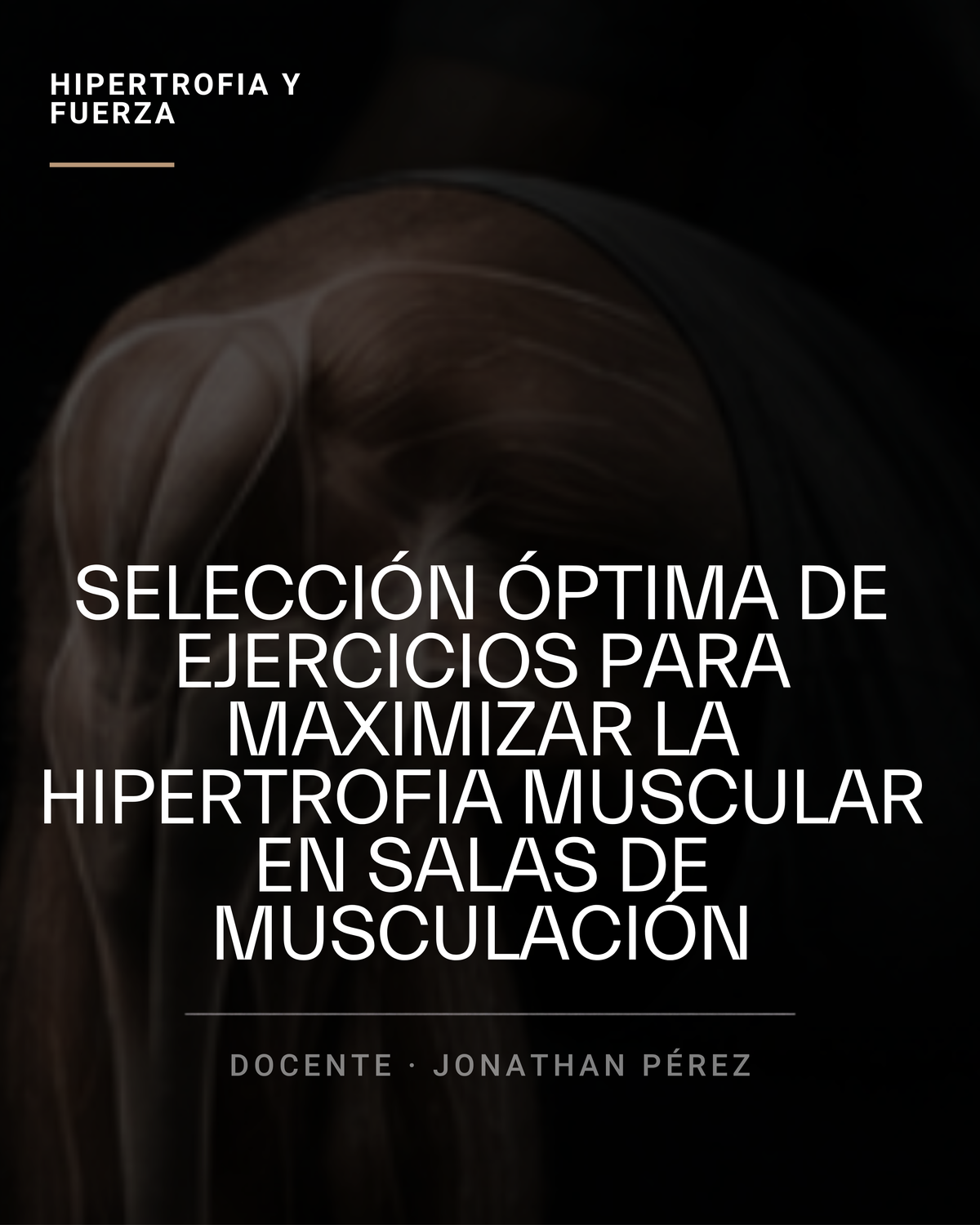 Selección Óptima de Ejercicios para Maximizar la Hipertrofia Muscular en Salas de Musculación